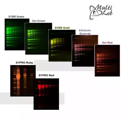 captura_imagini_geluri_electroforeza