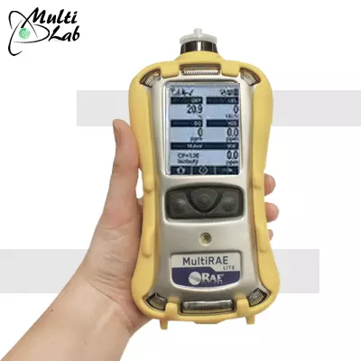 detector_gaze_multirae_lite