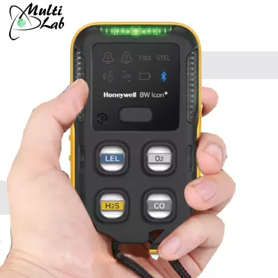 detector_monitor_multigaz