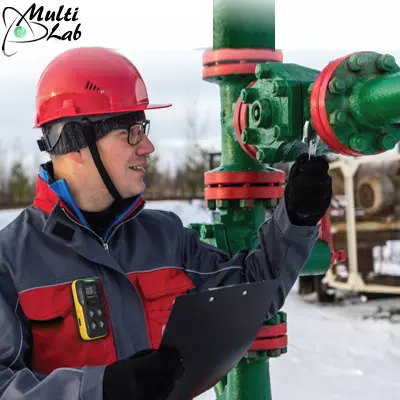 detector_multigaz_BW-FLEX
