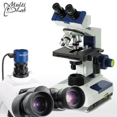 microscop_analiza_lactate