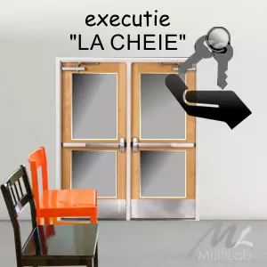 executie_proiect_mobila_laborator