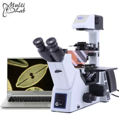 microscop_contrast_faza