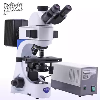 microscop_epi-fluorescenta_B-383FL