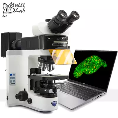 microscoape_cu_fluorscenta