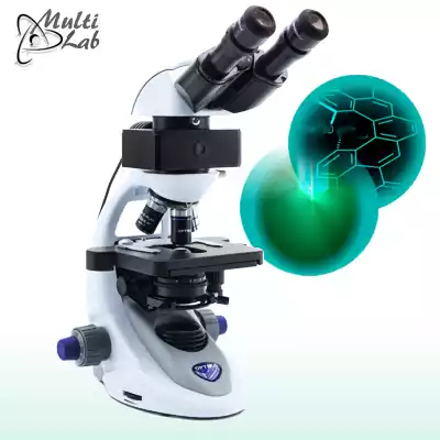 microscop_fluorescenta_500X