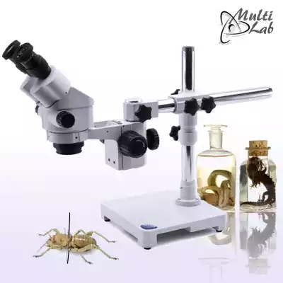stereomicroscop_insecte
