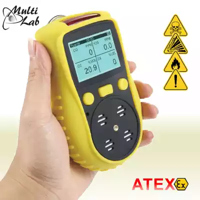detector_monitorizare_7_gaze