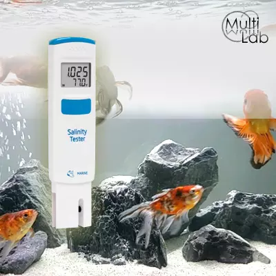 masurare_concentratie_sare